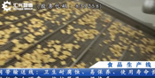 膨化食品生產(chǎn)線(xiàn)